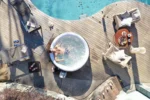 Aufblasbarer Whirlpool Lay-Z-Spa Hollywood Airjet – für 6 Personen - Image 15